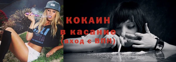 шишки Тольятти